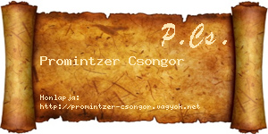 Promintzer Csongor névjegykártya